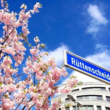 Rue Business & Essen