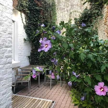 Rue Business & Apartmán