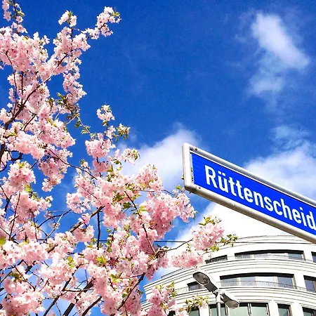 Rue Business & * Эссен