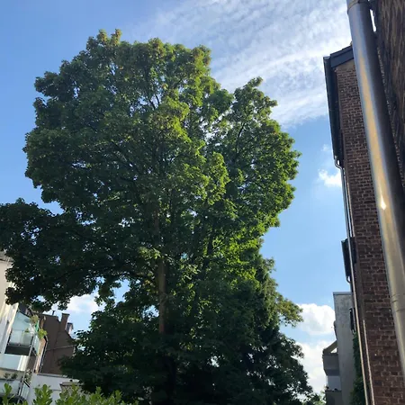 Rue Business & Apartment Essen