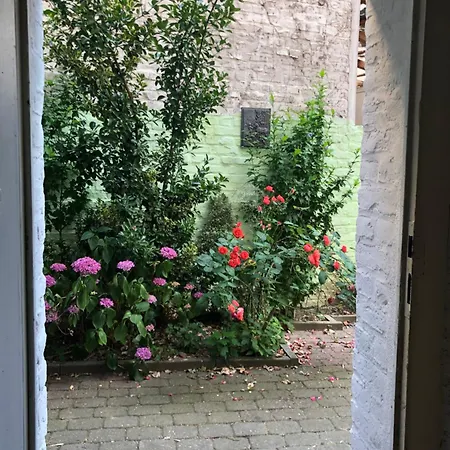 Apartment Rue Business & Essen