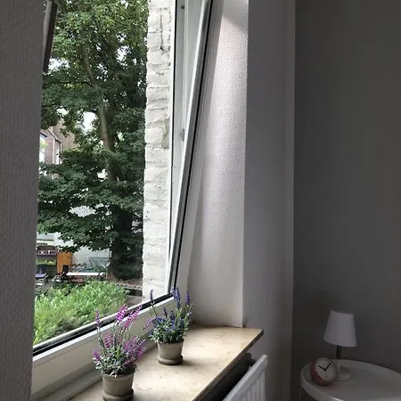 Rue Business & Эссен