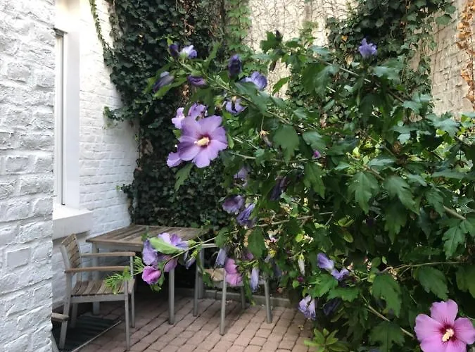 Rue Business & 公寓