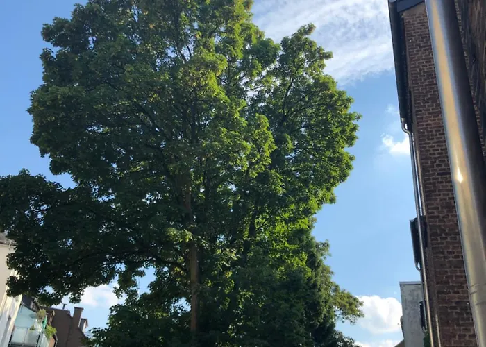 Rue Business & 公寓 埃森