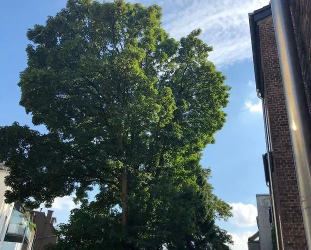 Rue Business & 埃森