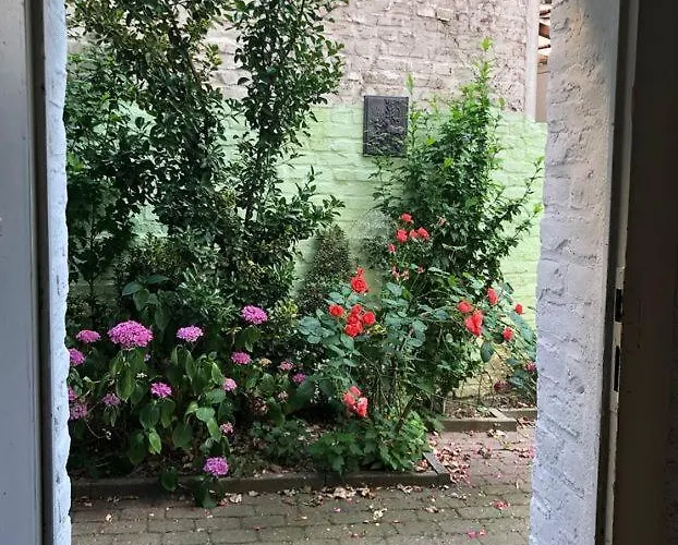 Apartman Rue Business & Essen